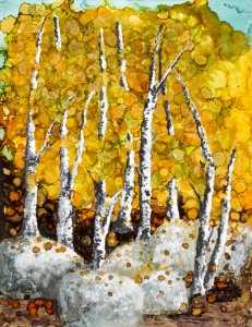 Fall Birch Commish Med