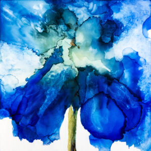 Blue Iris 1