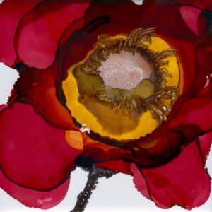 CRANBERRY POPPY