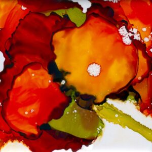 ICELANDIC POPPY