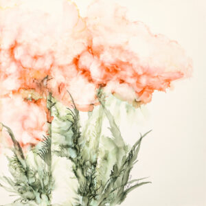 _U8A9032-Edit_f8bad_lrp10